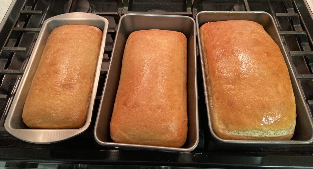 Jonathan's first batch of homemade wheat bread